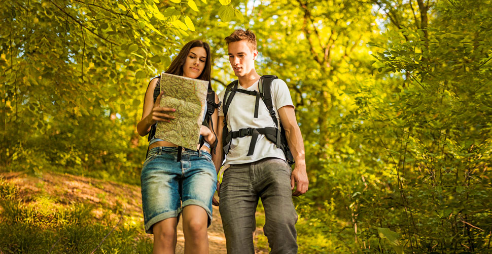 fare passeggiate in natura per fare il bird watching