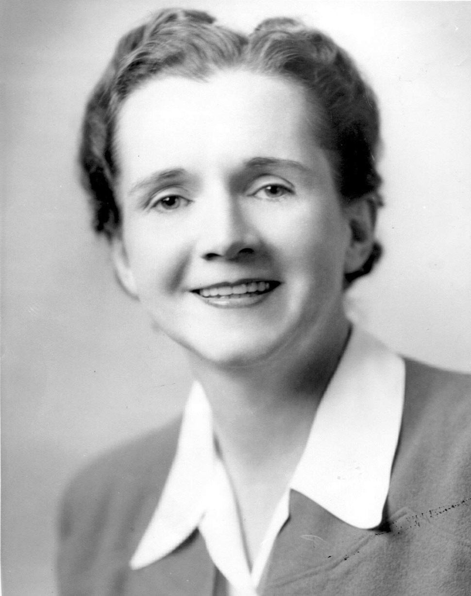 la scrittrice rachel carson