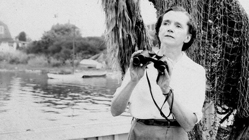 primavera silenziosa il libro di rachel carson